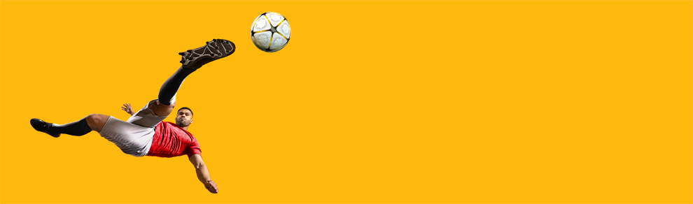 Banner image